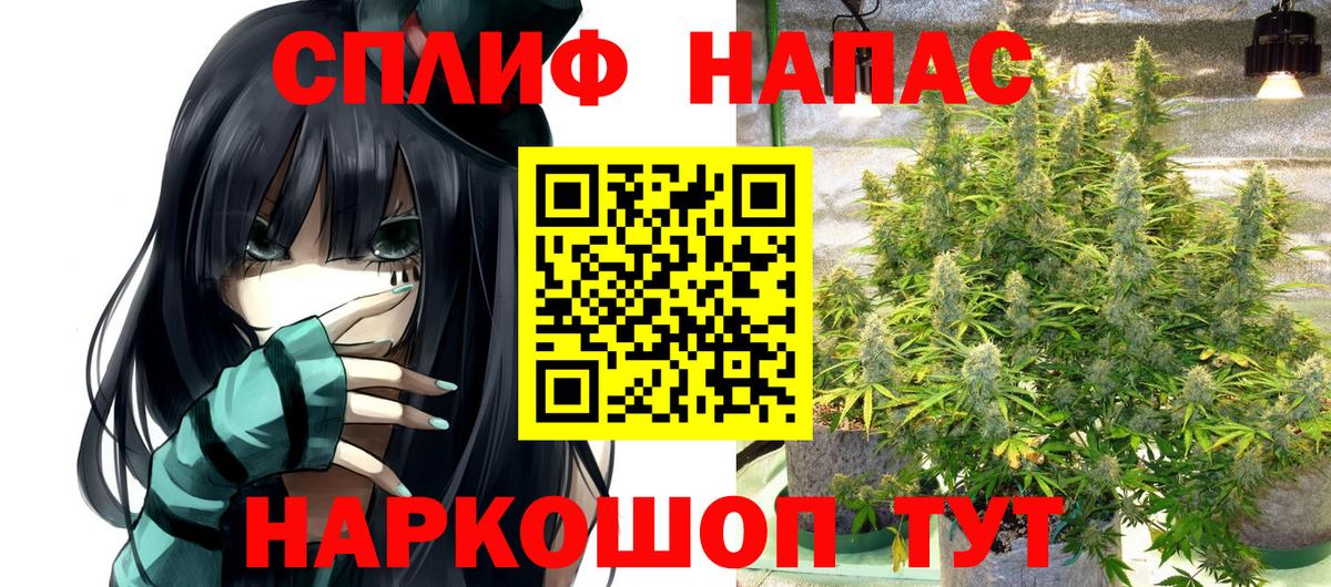 Бошки Шишки тримм  Вход с VPN  Бошки марихуана MAZAR  Канабис White Widow  Отрадный 